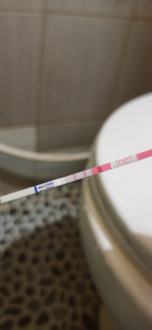 Usg belum terlihat kantung