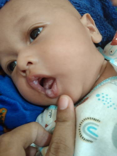Siang bunda