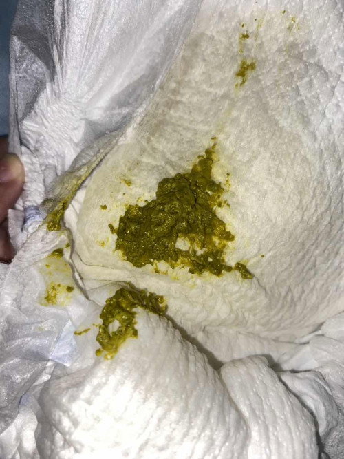 Bayi pup warna hijau