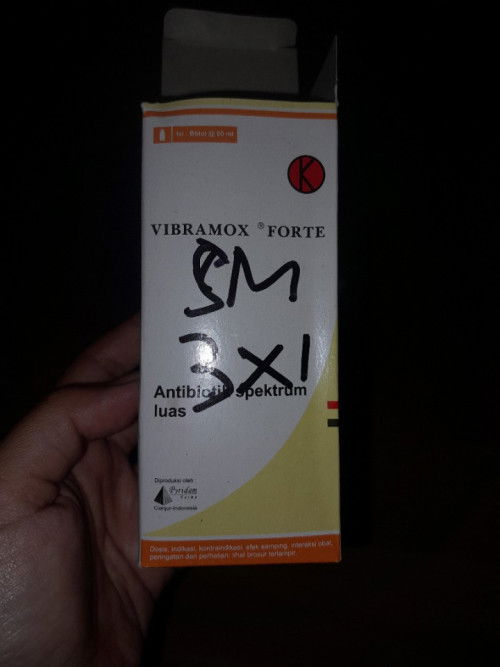 Anak sakit panas ga sembuh"