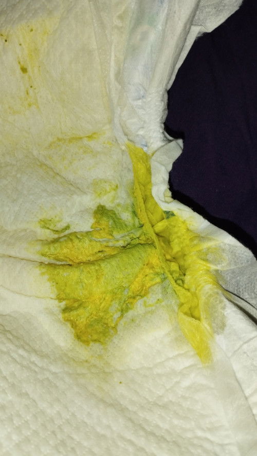 Pup bayi Newborn 3 Minggu