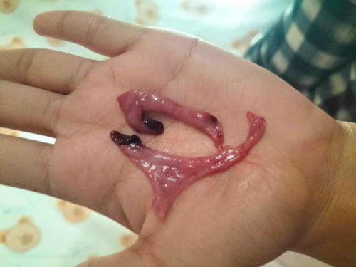 สอบถามหน่อยค่ะ