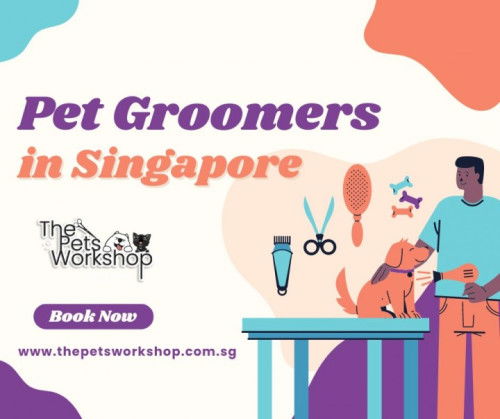 Here are key considerations for pet owners seeking the best in pet groomers.- The Pets Workshop