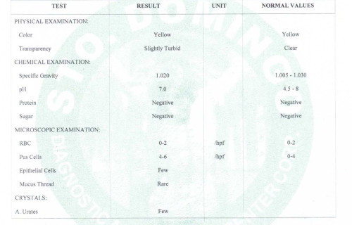 Urinalysis