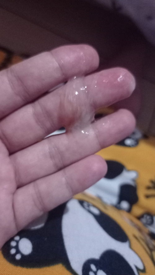 Maaf bun rada jorok. Uk 38w keluar beginian d cd. Apa ini tanda persalinan atau efek hb sama suami?