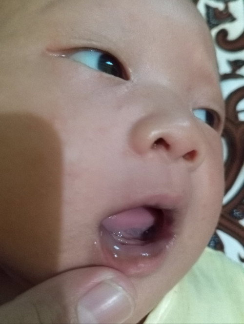 Warna bibir