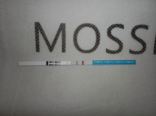 Positif Sebelum Telat Haid