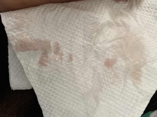 Darah haid atau darah implantasi