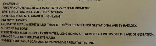 Congenital Anomaly Scan