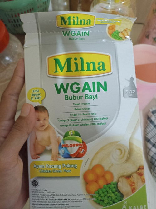 MPASI bayi 6 bulan
