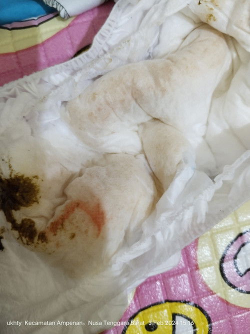 Pipis warna orange kdang kayak bercak darah