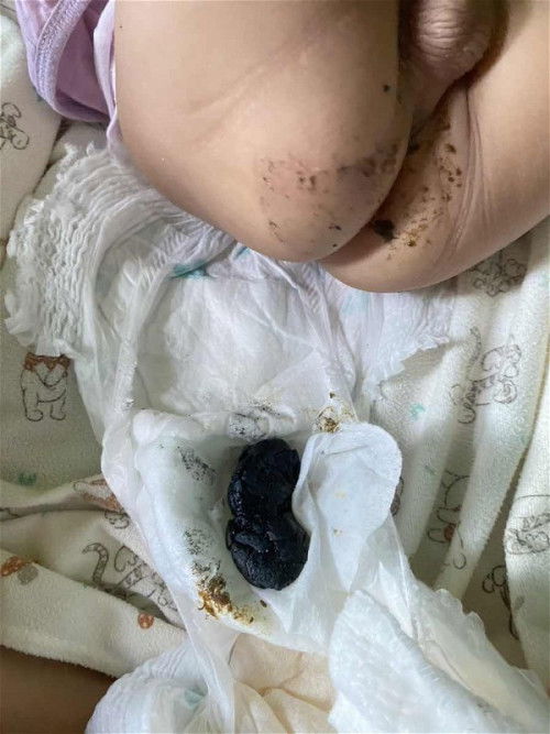 Pup hitam bayi 7 bulan