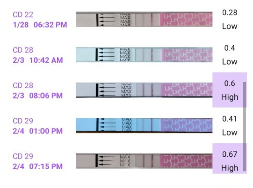 Opk (+ve) Dpo 11