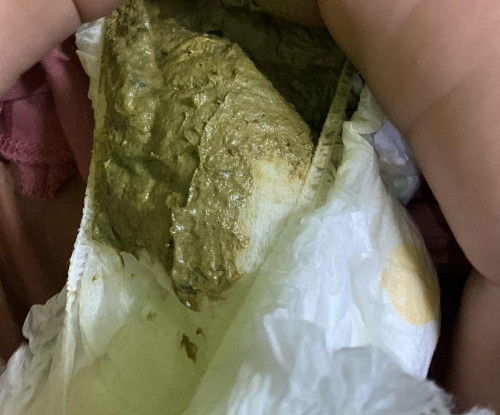 Pup bayi 3 bulan (sufor)