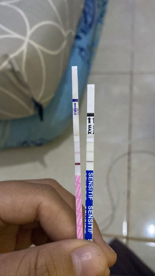 Bun bantu shareing ini beneran hamil kah?