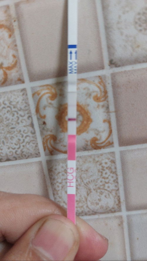 Apakah ini hamil atau tdk?