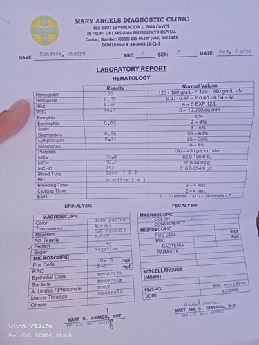 Lab Result of CBC, HEPA, TPHA, BT, UA