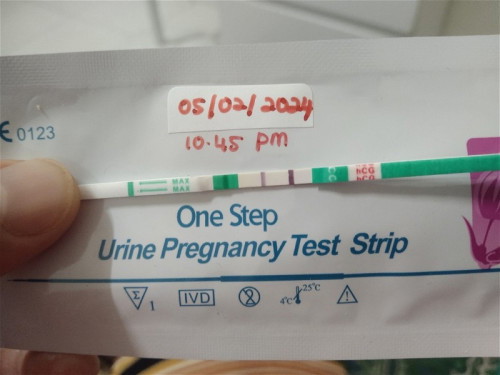 Pregnant atau tidak
