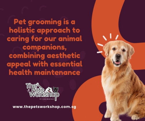 A range of services to cater to the specific needs of different animals — The Pets Workshop