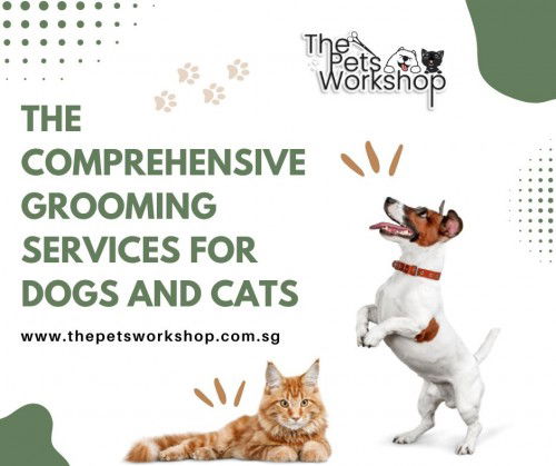 Evolved into more than just a simple wash and trim — The Pets Workshop