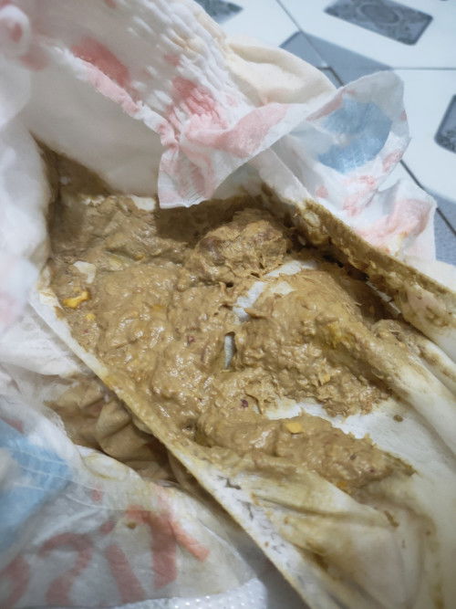 Đi ngoài phân sống