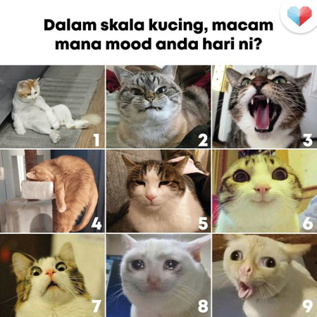 Perubahan Mood Ibu-Ibu, Anda Yang Mana Satu?