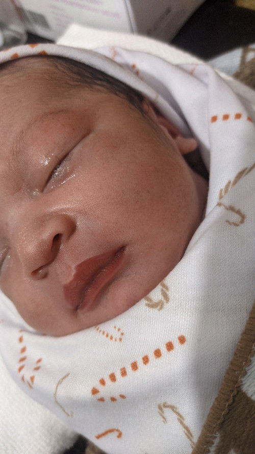 Hpl 10 febuari , launching 9 febuari 2024