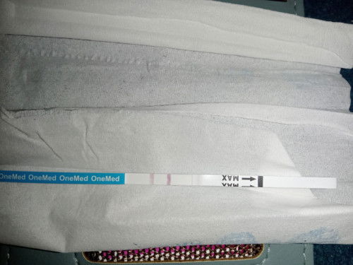 Hasil seperti ini positif apa negatif ya , karna saya tidak merasakan hal² kehamilan