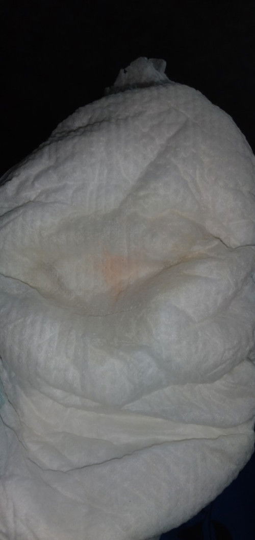 Pipis anak agak merah