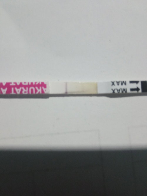 Hasil Testpack