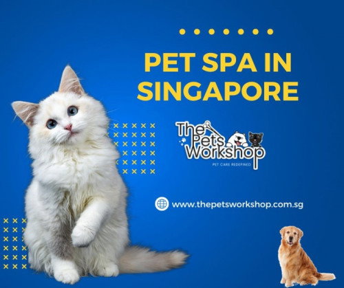Pet spas have gained popularity for their holistic approach to pet care — The Pets Workshop