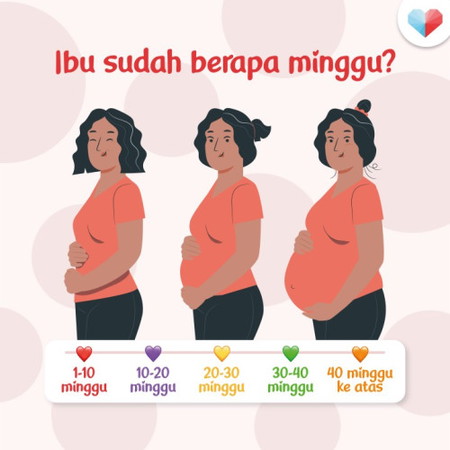 Minggu Kehamilan: Anda Di Fasa Yang Mana?