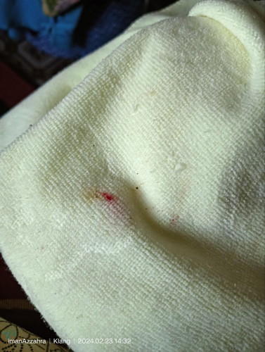 Baby 6 bulan , sekarang selsema sikit..sejak mlm tdi muntah mcm jeluok tapi de drh sikit..knp ye