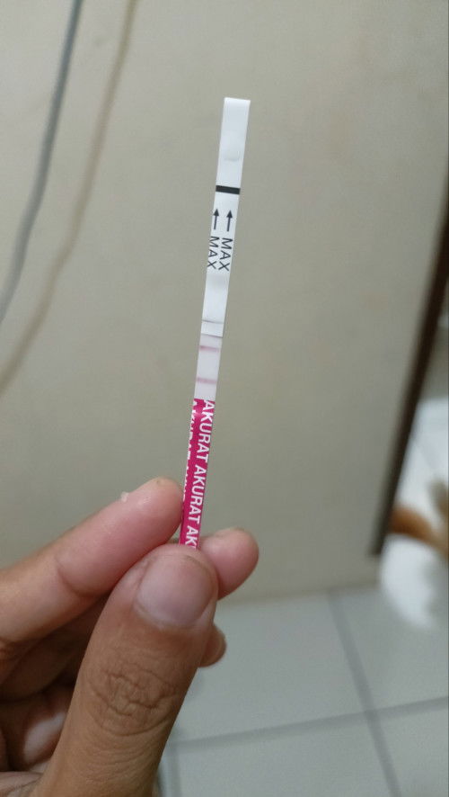 Testpack kehamilan