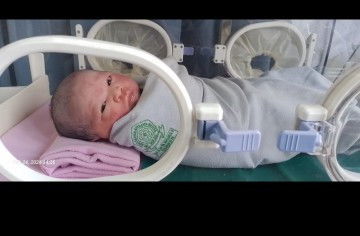 Hpl 7 Maret lahir 24 februari