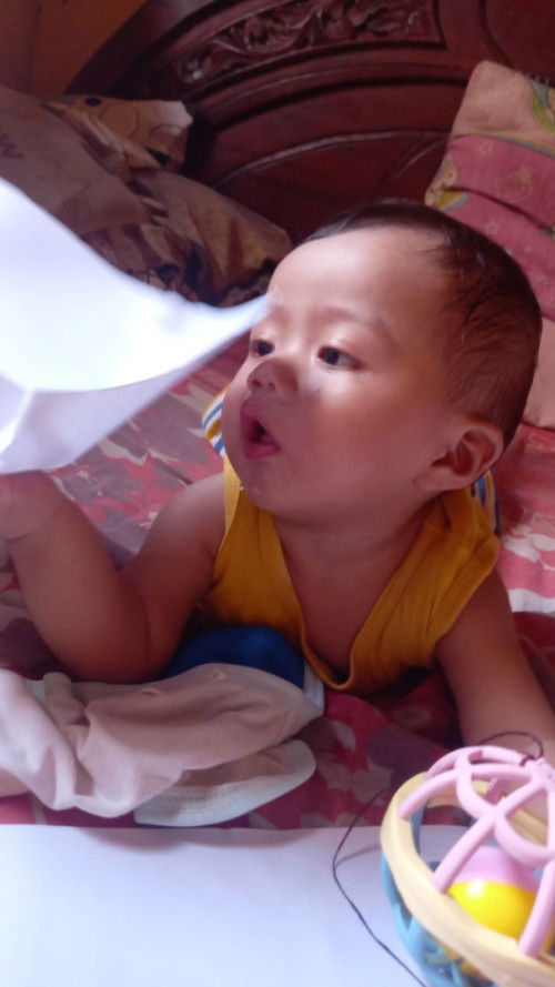 Makan kertas buku gambar