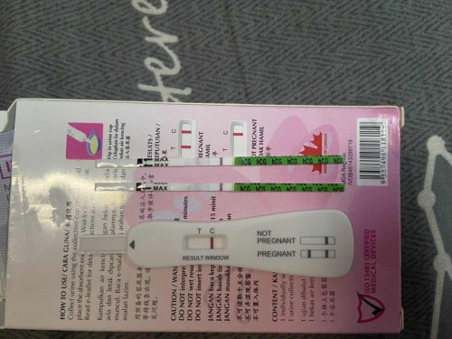 Pregnancy test