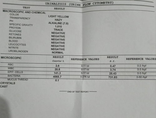 Urinalysis Results