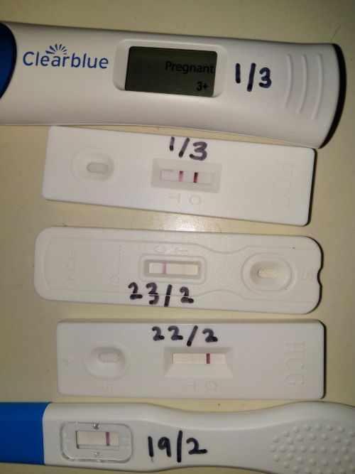 Dari double line samar2, jadi double line pekat. Last period 25/1/24.