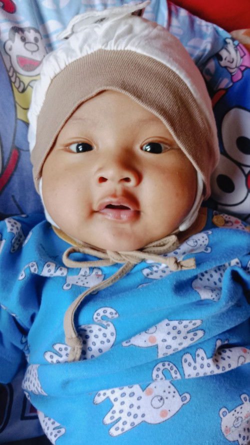 Bb bayi normal