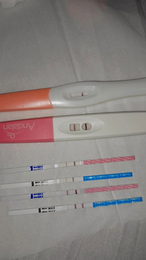 Hamil tp gak ngrasain apa²..