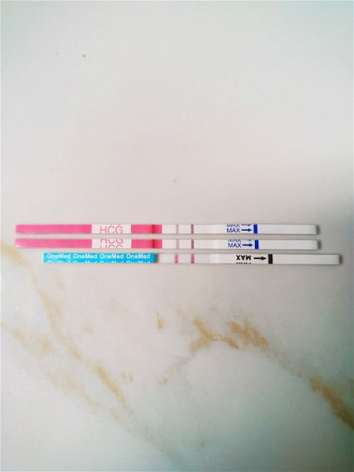 Hpht 16 januari 2024