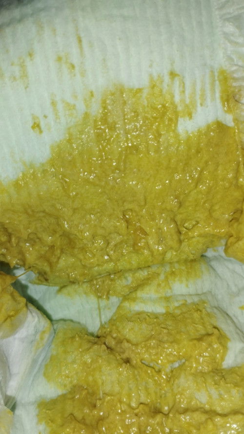 Pup baby ada lendirnya