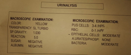 Cefuroxime for UTI?
