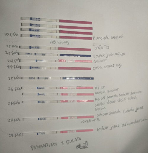 Tespek pas hpht haid penguapan bukan ya bun??