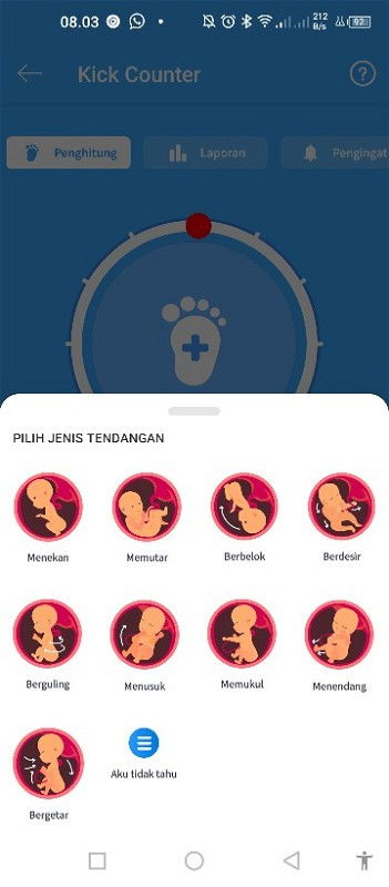 Gerakan baby dalam perut