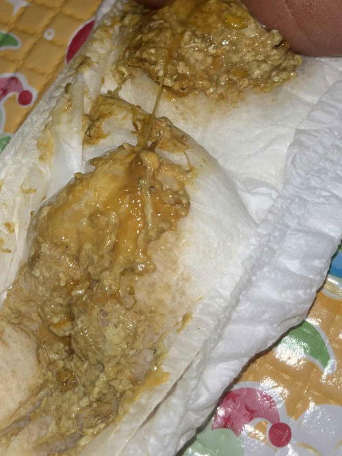 BAB Bayi Berlendir dan berbiji