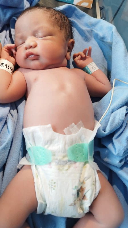 HPL 29 maret launching