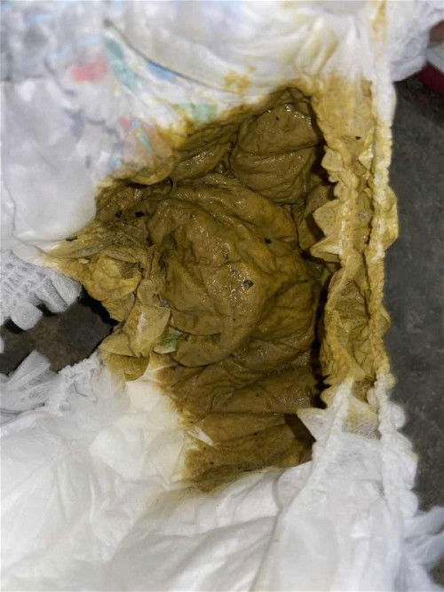 pup baby 6 bulan mpasi