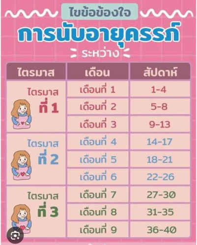 การนับอายุครรภ์